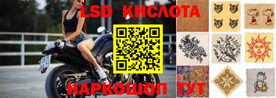 стаф Кулебаки