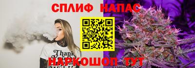 стаф Кулебаки