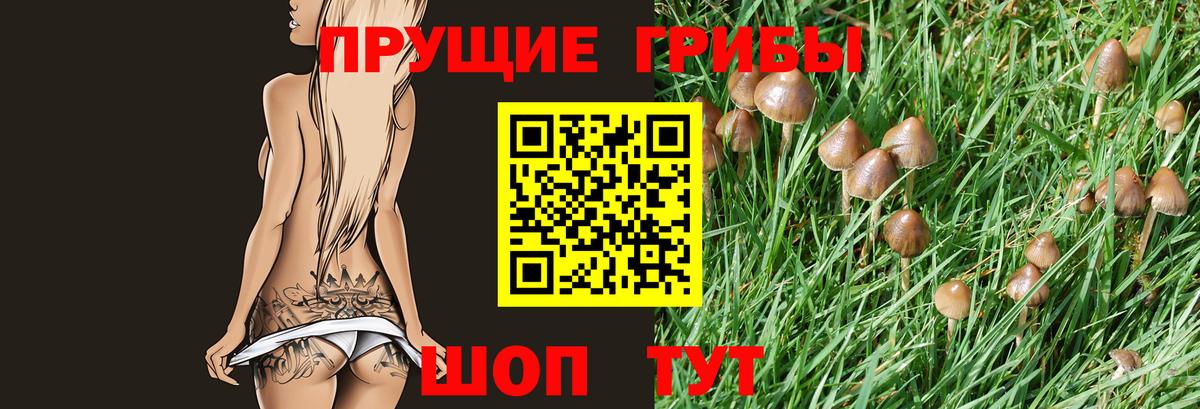 Галлюциногенные грибы MAGIC MUSHROOMS  Вход с VPN  Каменка  Галлюциногенные грибы прущие грибы 